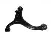 Control Arm:54500-2B000