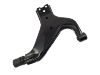 Brazo de suspensión Control Arm:54501-0W000