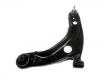 Control Arm:48069-59095