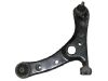 Bras de liaison Control Arm:48069-49045