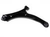 Control Arm:45202-59J00