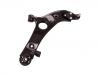 Control Arm:54501-2W200