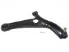 Control Arm:48068-59055