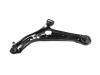 Control Arm:48069-0D020