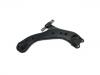 Brazo de suspensión Control Arm:48068-33090